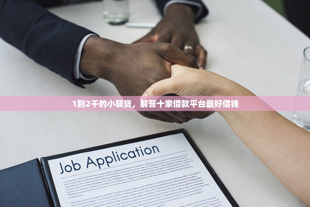 无视花户贷款，介绍十个花户2025能下款的口子