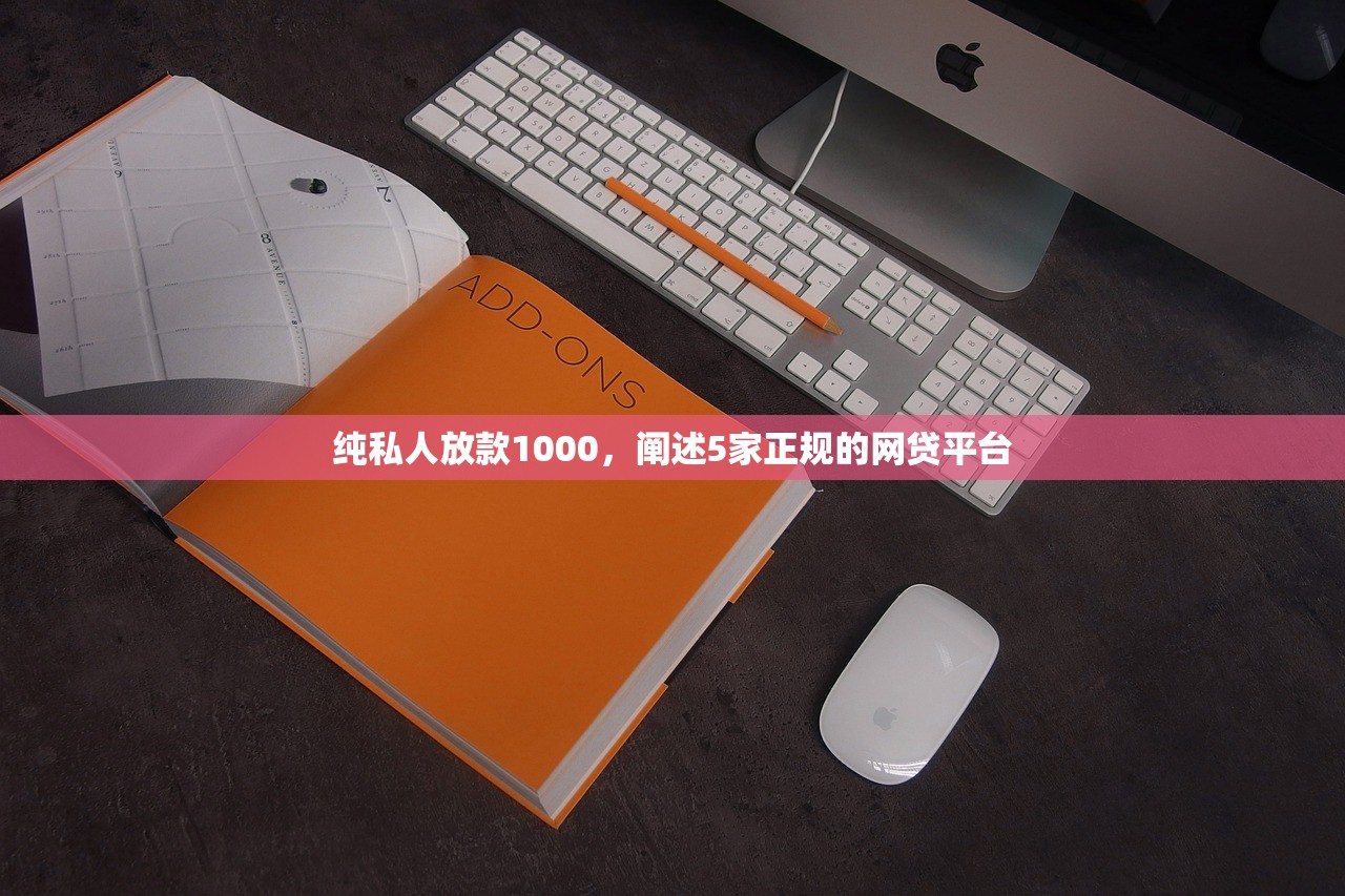 纯私人放款1000，阐述5家正规的网贷平台