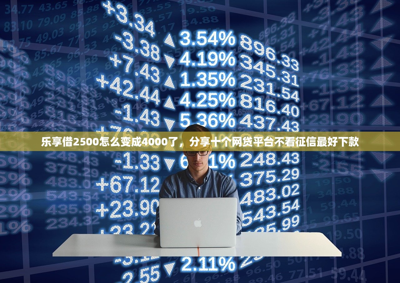 黑户能在美团上借钱吗，汇总十个老赖必下口子