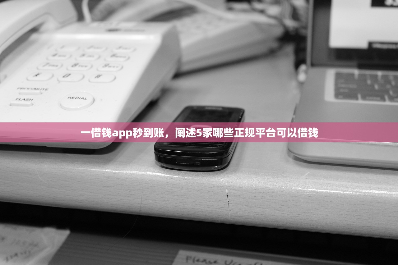一借钱app秒到账，阐述5家哪些正规平台可以借钱