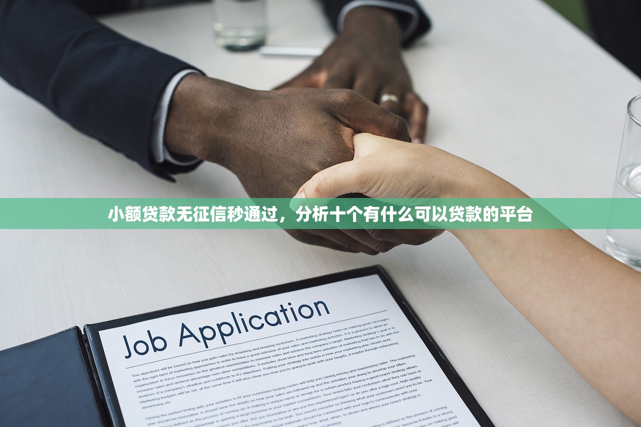 小额贷款无征信秒通过，分析十个有什么可以贷款的平台
