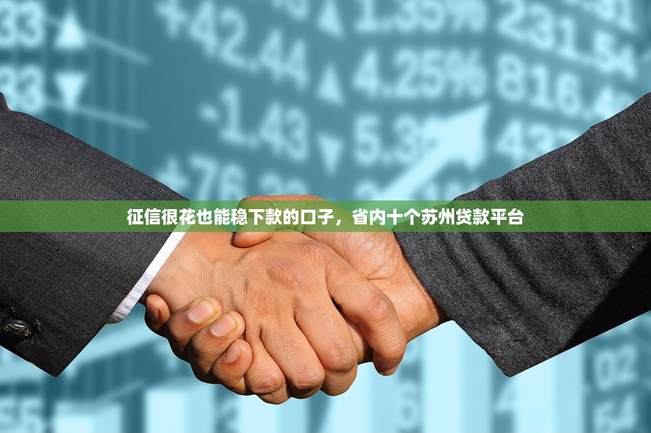 征信很花也能稳下款的口子，省内十个苏州贷款平台