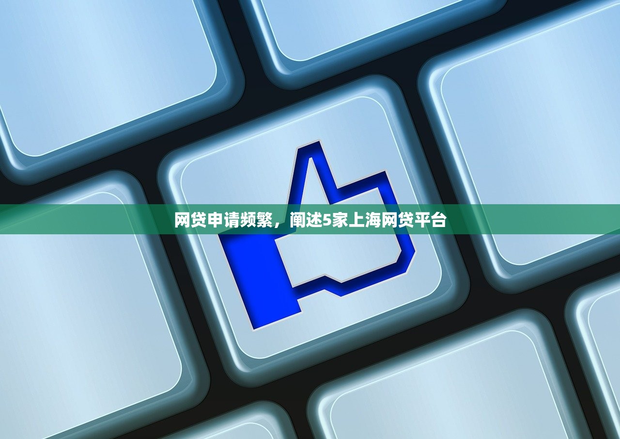 网贷申请频繁，阐述5家上海网贷平台