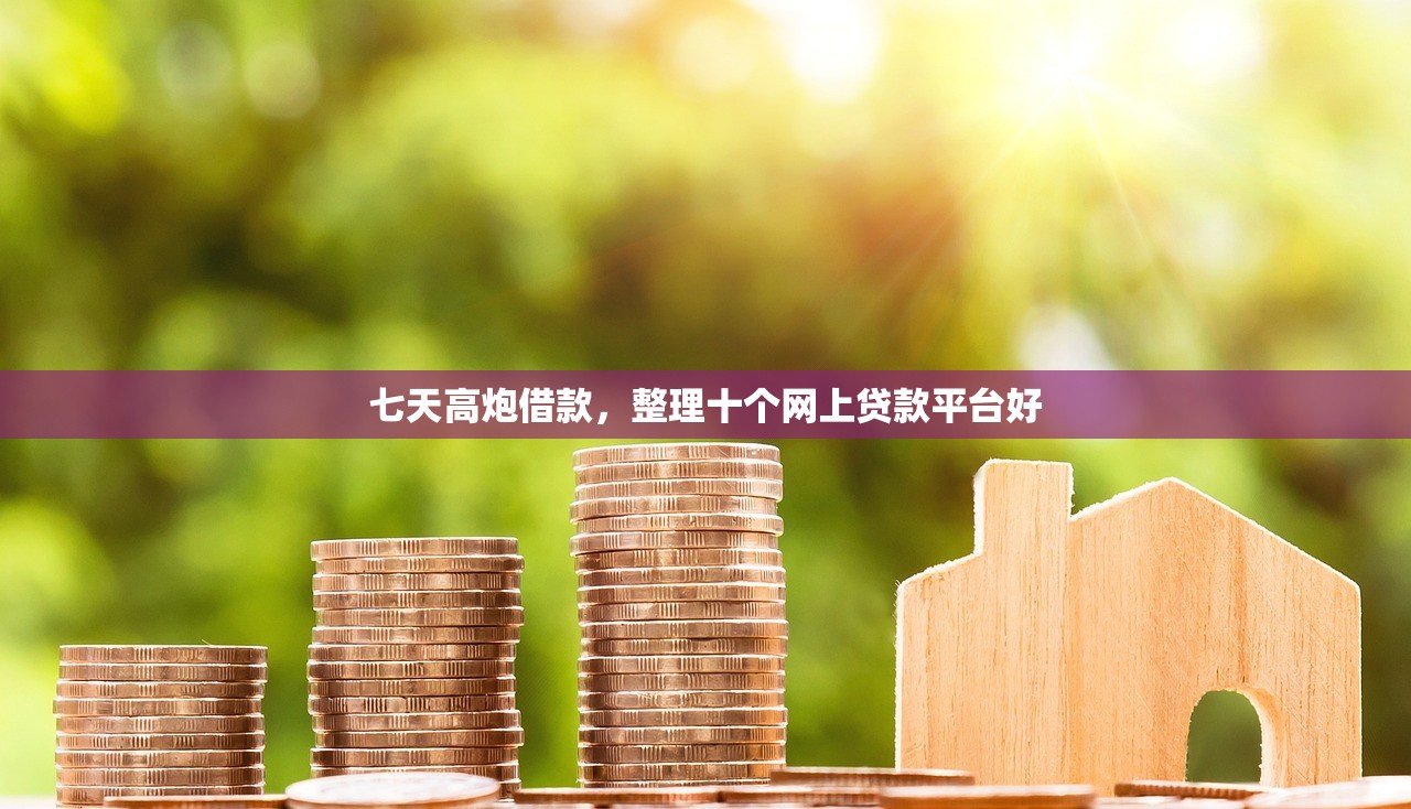 高炮借款平台，探讨十款网贷平台正规