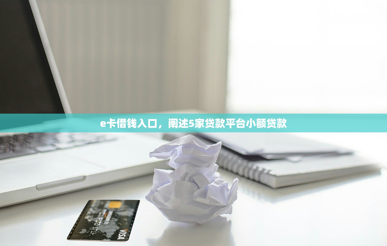 e卡借钱入口，阐述5家贷款平台小额贷款