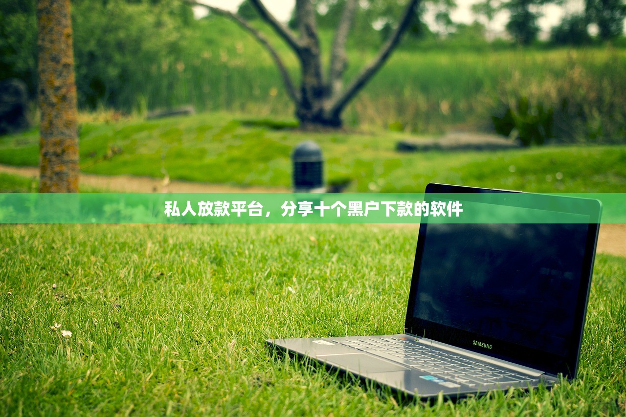 私人放款平台，分享十个黑户下款的软件