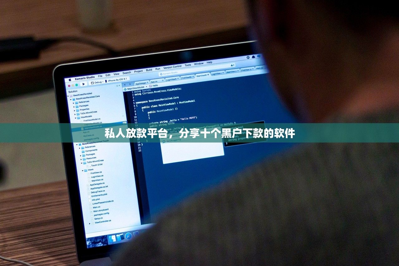 私人放款平台，分享十个黑户下款的软件