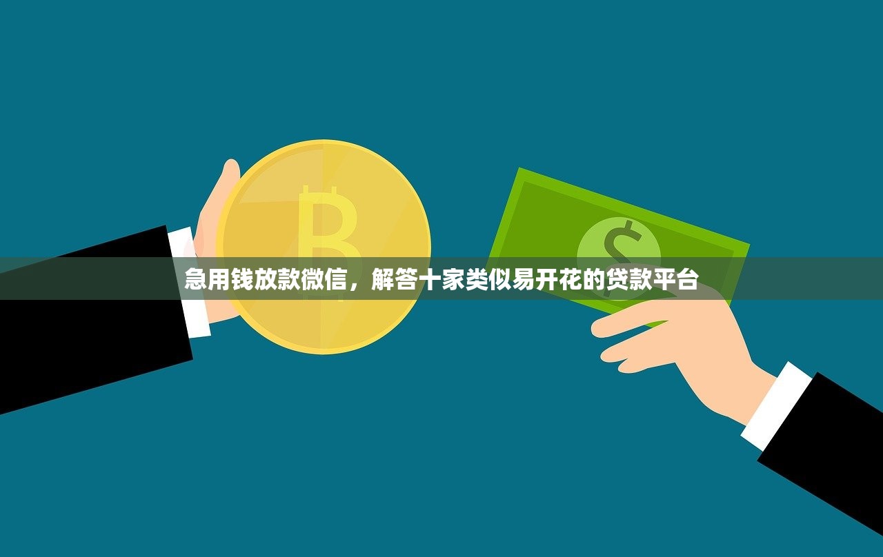 急用钱放款微信，解答十家类似易开花的贷款平台