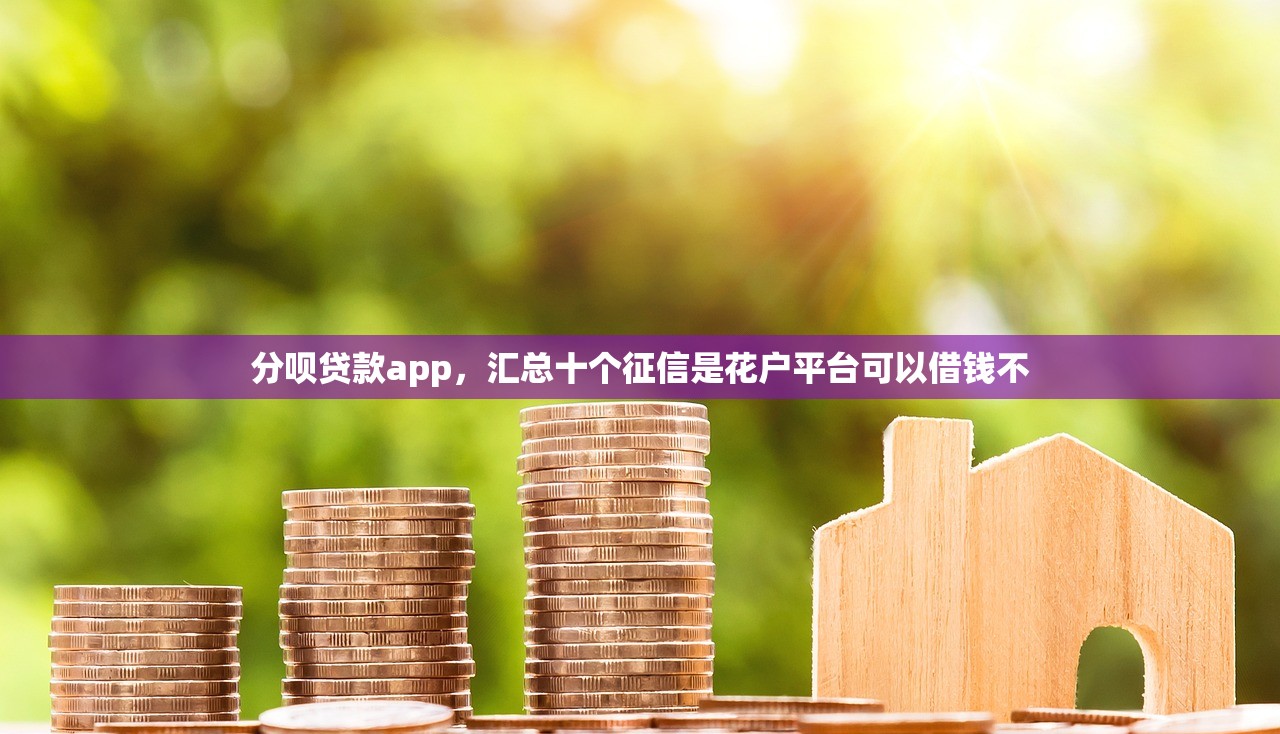 黑户借2万元秒下，推荐十个51贷款平台合法吗
