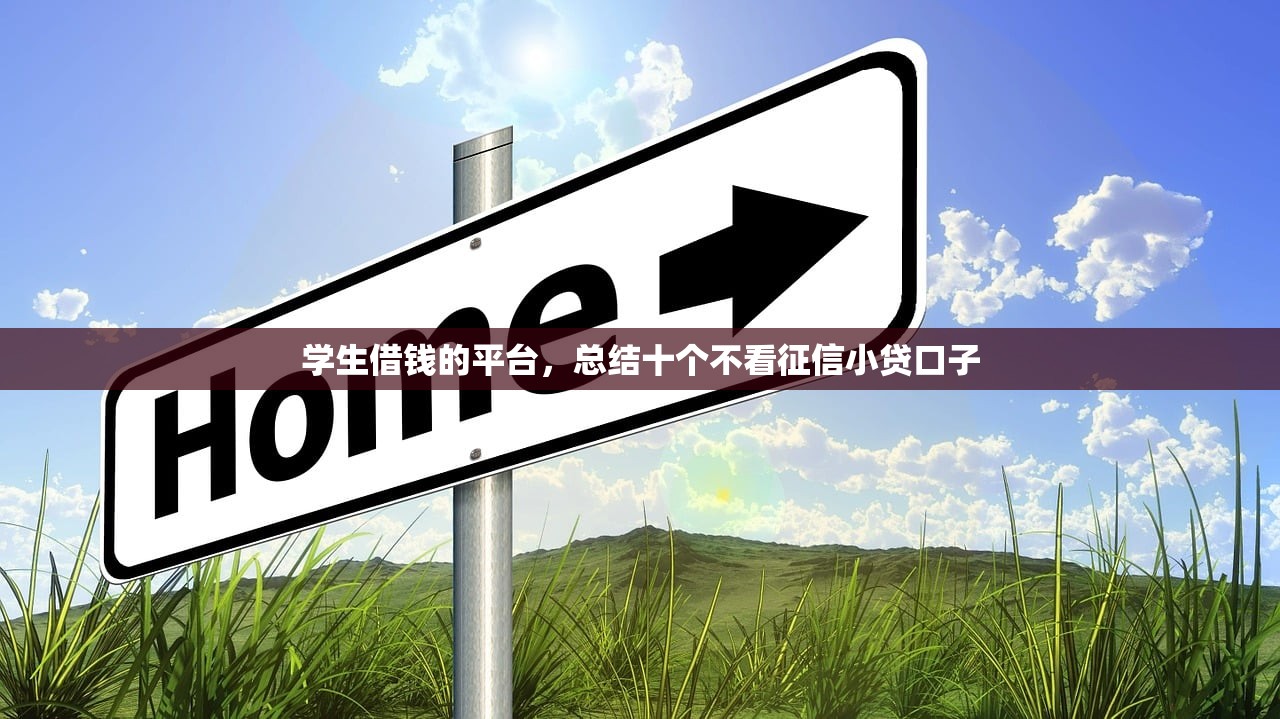 学生借钱的平台，总结十个不看征信小贷口子