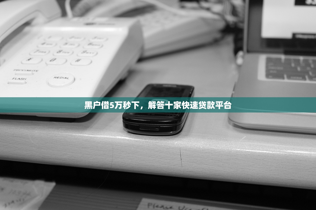 黑户借5万秒下，解答十家快速贷款平台
