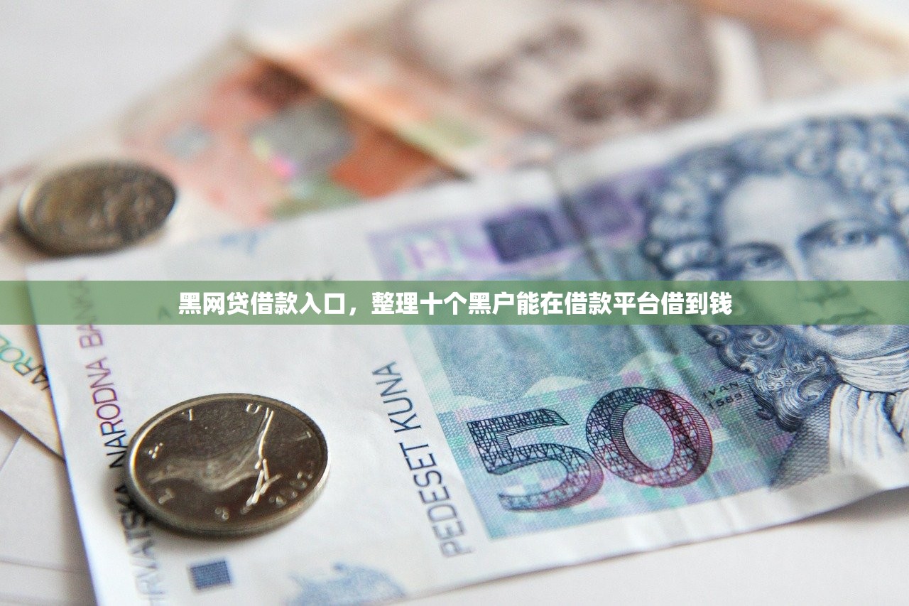 黑网贷借款入口，整理十个黑户能在借款平台借到钱
