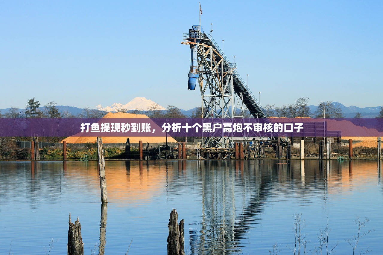 打鱼提现秒到账，分析十个黑户高炮不审核的口子