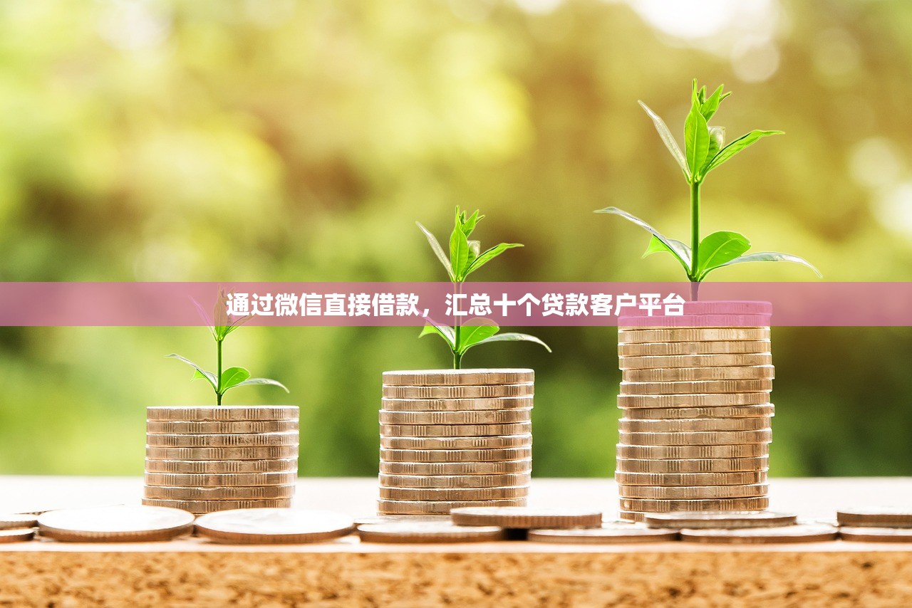 医保提取代办中介，同城十个好借钱的平台