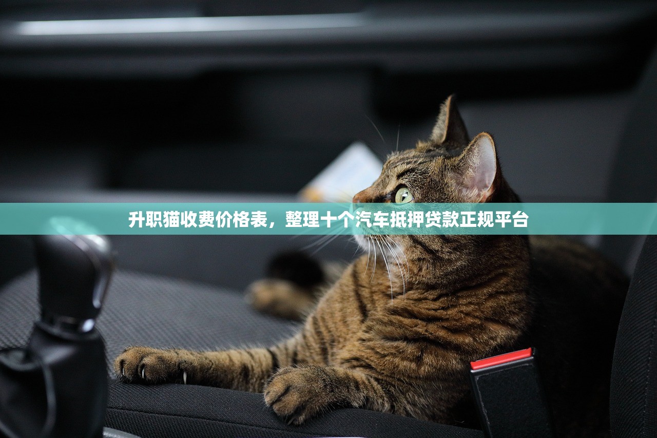 升职猫收费价格表，整理十个汽车抵押贷款正规平台