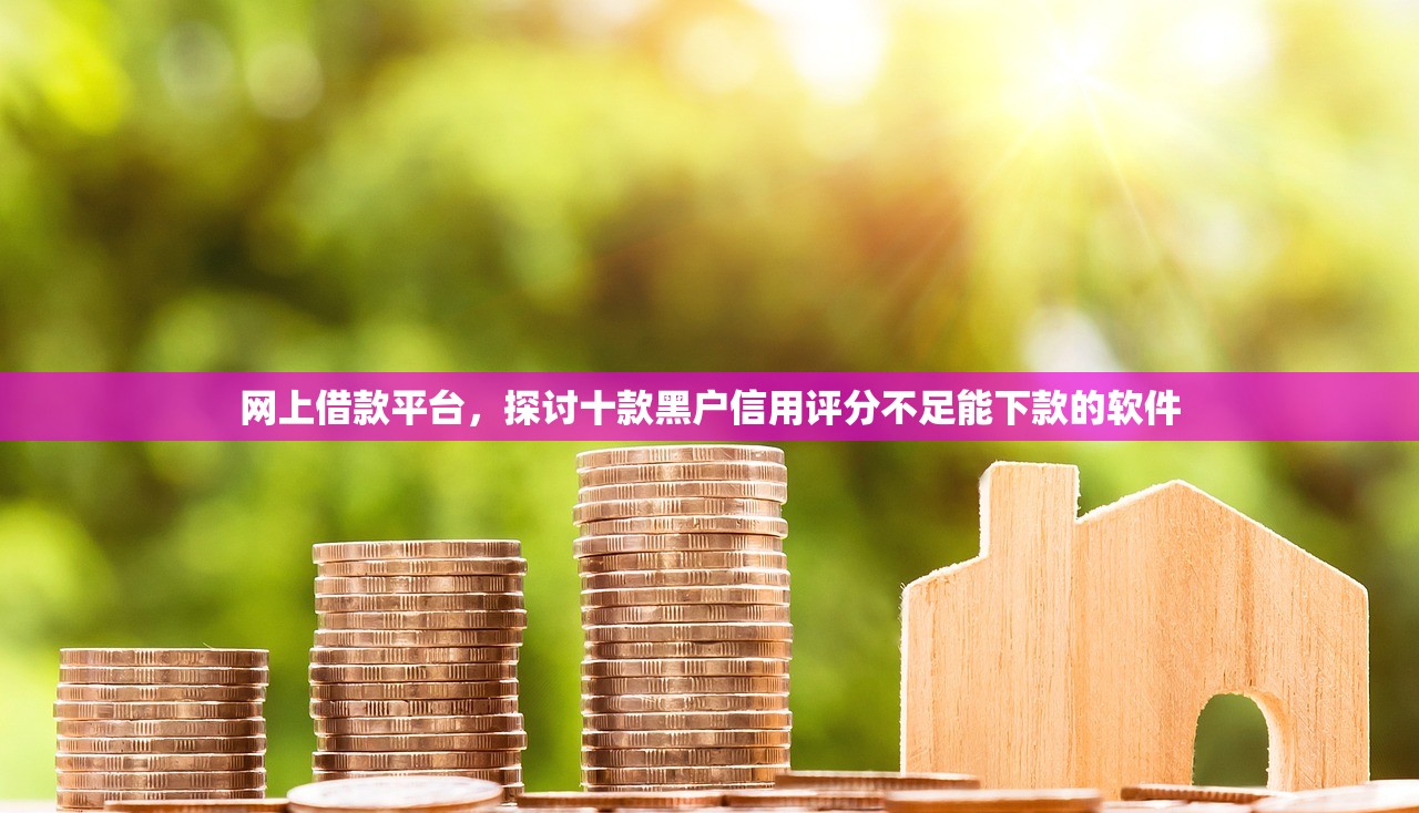 黑户包装十万起贷，十大大学生贷款平台