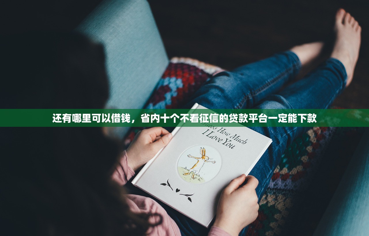 还有哪里可以借钱，省内十个不看征信的贷款平台一定能下款