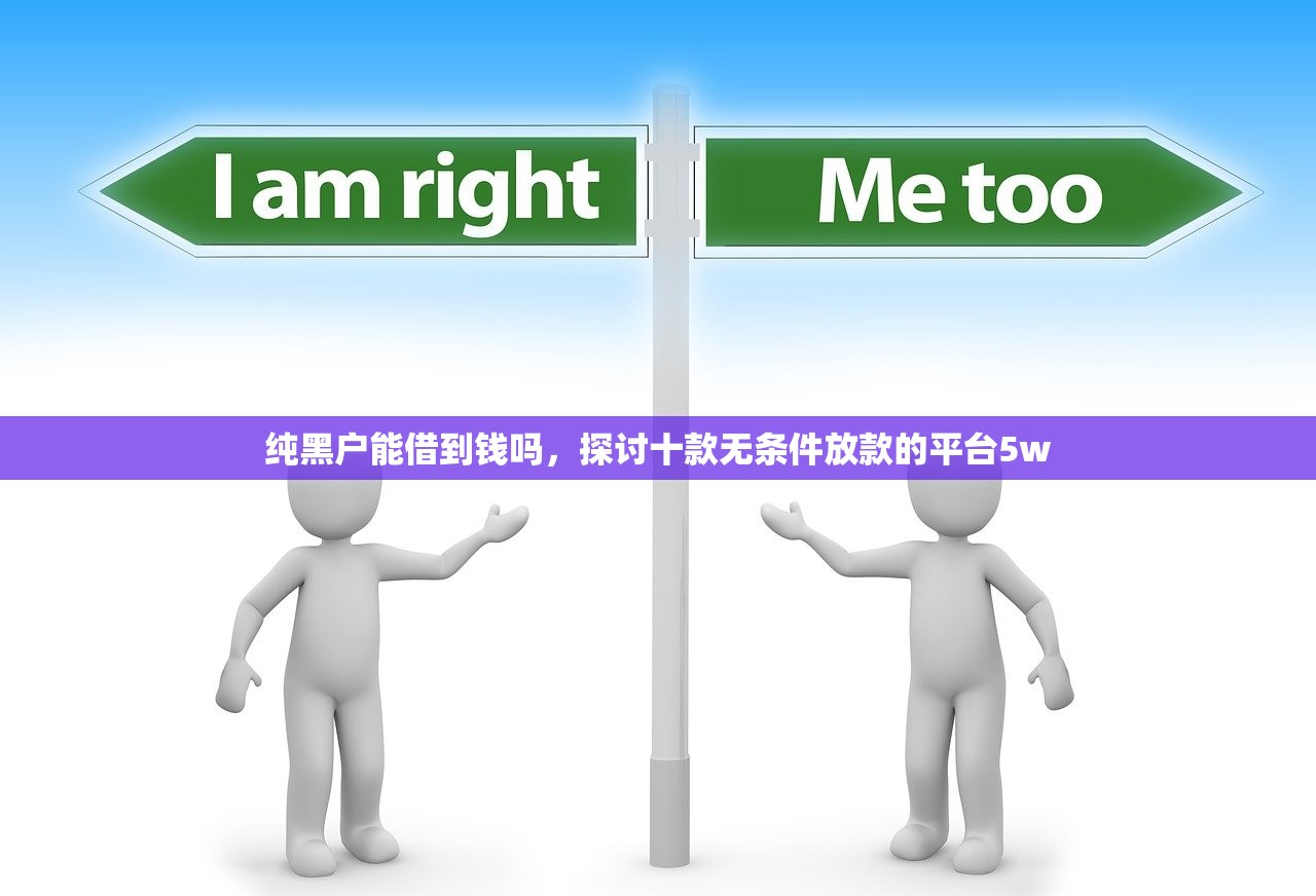 纯黑户能借到钱吗，探讨十款无条件放款的平台5w