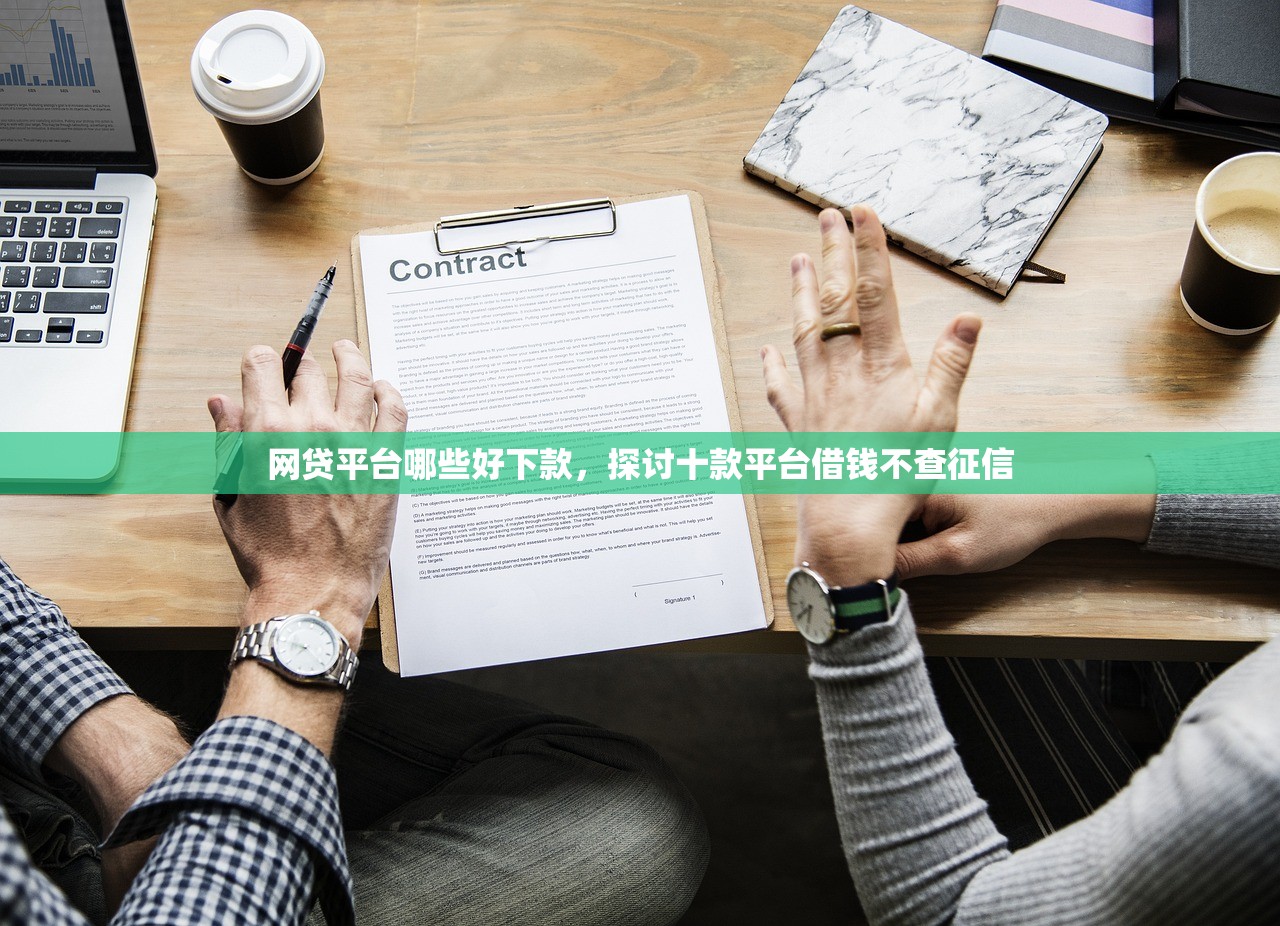 网贷平台哪些好下款，探讨十款平台借钱不查征信