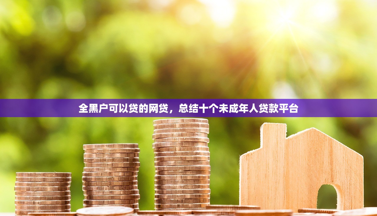 全黑户可以贷的网贷，总结十个未成年人贷款平台