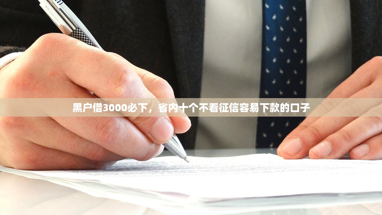 黑户借3000必下，省内十个不看征信容易下款的口子