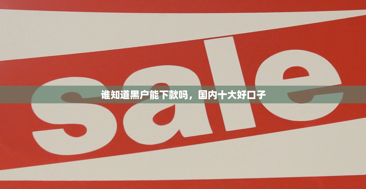 谁知道黑户能下款吗，国内十大好口子