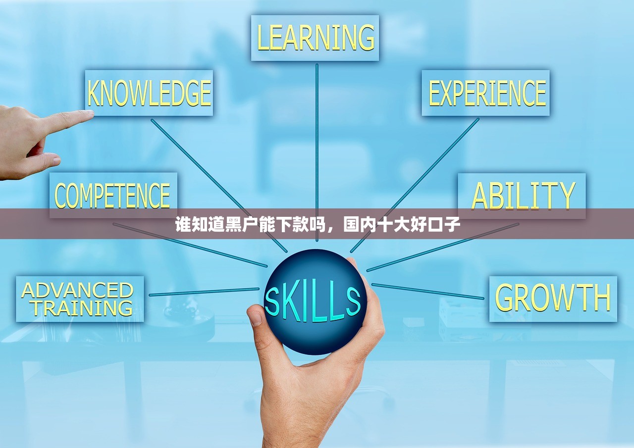 谁知道黑户能下款吗，国内十大好口子