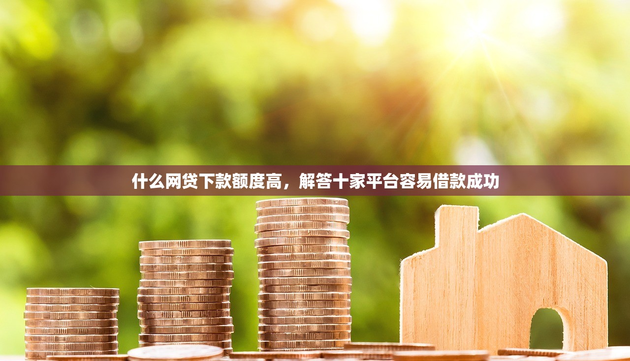什么网贷下款额度高，解答十家平台容易借款成功