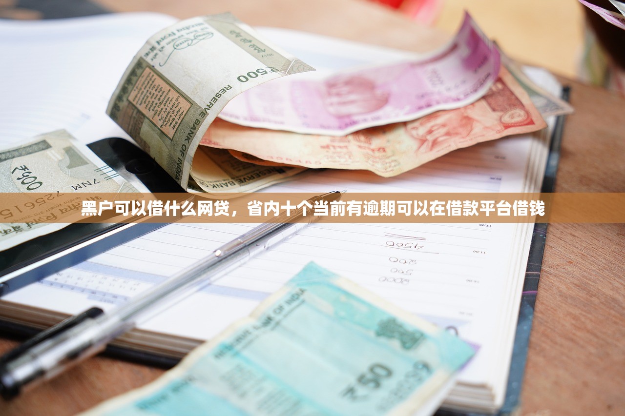 黑户可以借什么网贷，省内十个当前有逾期可以在借款平台借钱