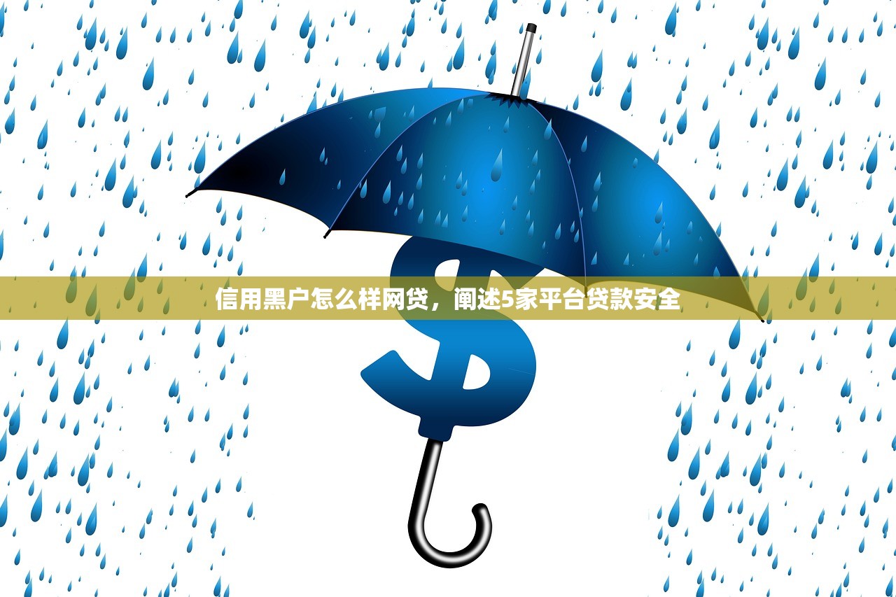 信用黑户怎么样网贷，阐述5家平台贷款安全