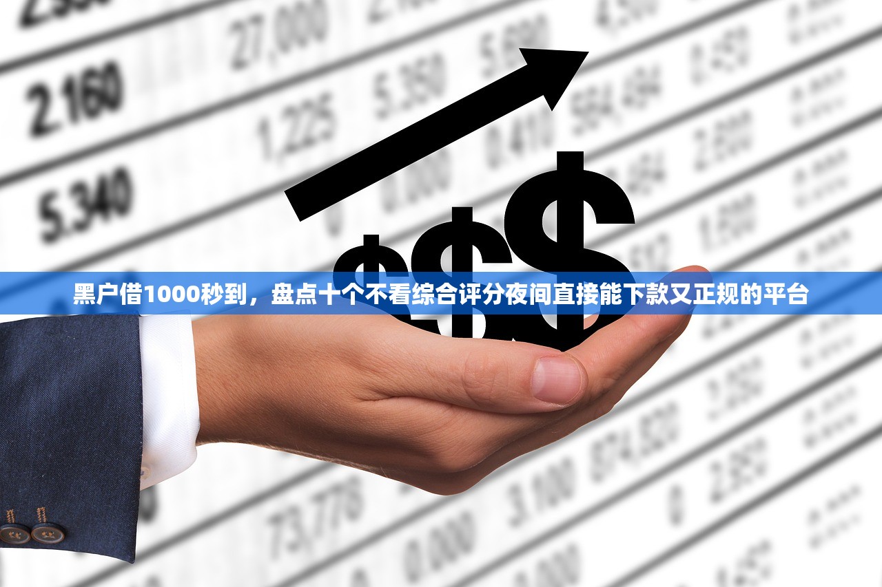 黑户借1000秒到，盘点十个不看综合评分夜间直接能下款又正规的平台