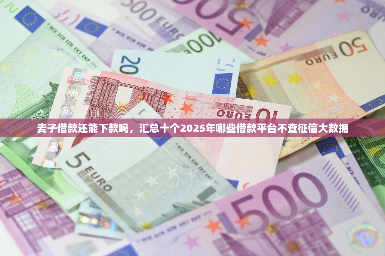 麦子借款还能下款吗，汇总十个2025年哪些借款平台不查征信大数据