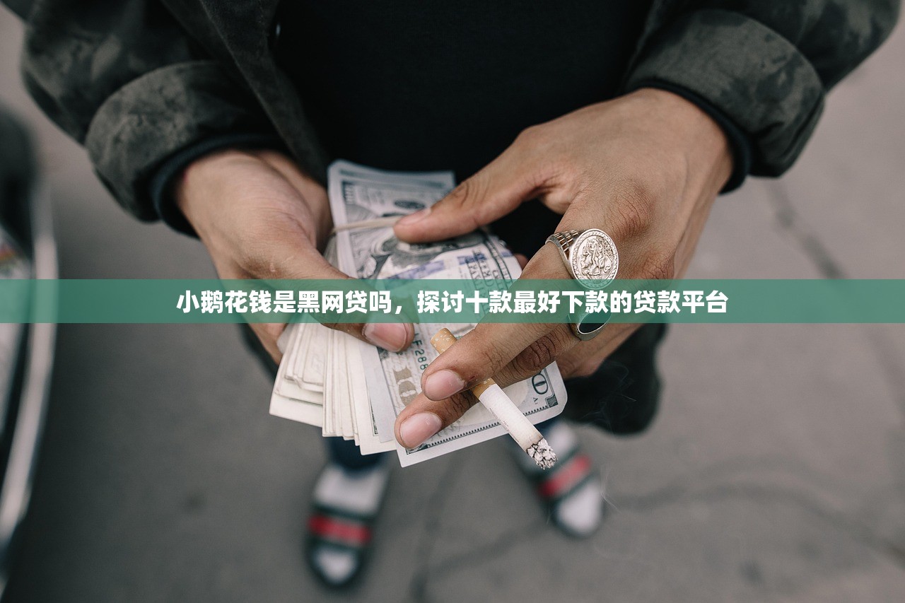 小鹅花钱是黑网贷吗，探讨十款最好下款的贷款平台