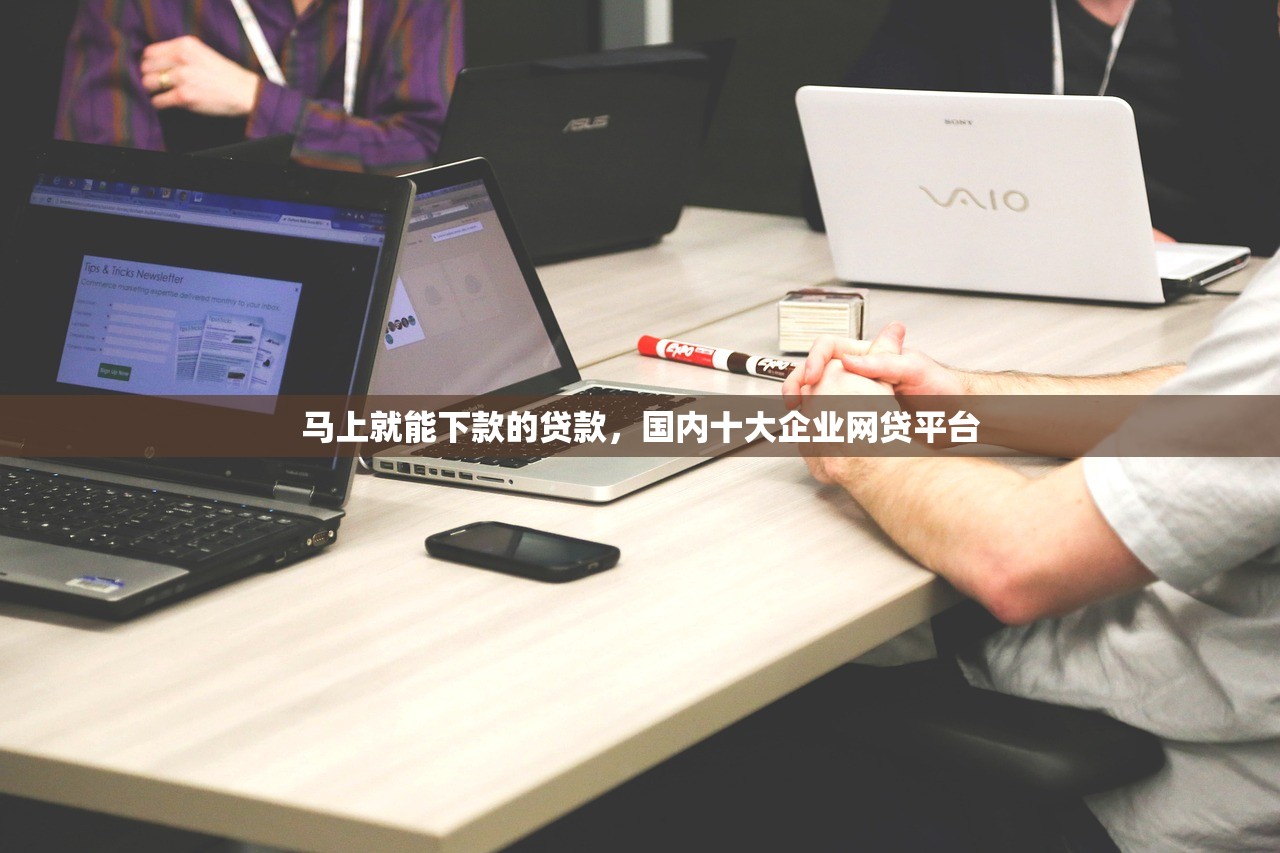 马上就能下款的贷款，国内十大企业网贷平台