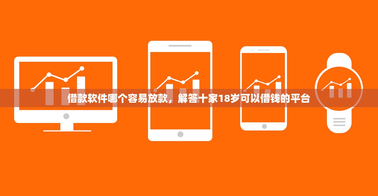 借款软件哪个容易放款，解答十家18岁可以借钱的平台