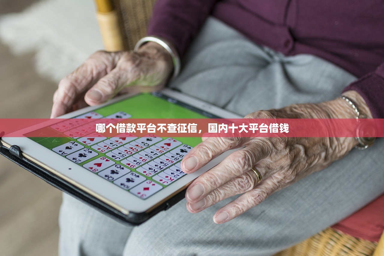 哪个借款平台不查征信，国内十大平台借钱