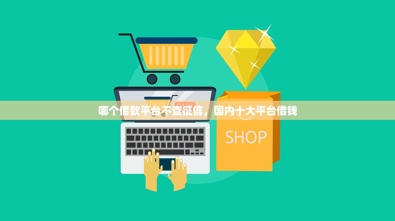 哪个借款平台不查征信，国内十大平台借钱
