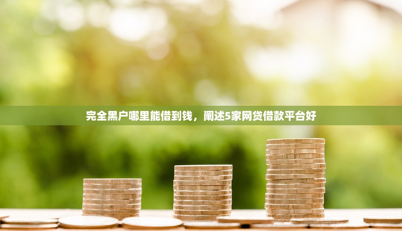 完全黑户哪里能借到钱，阐述5家网贷借款平台好