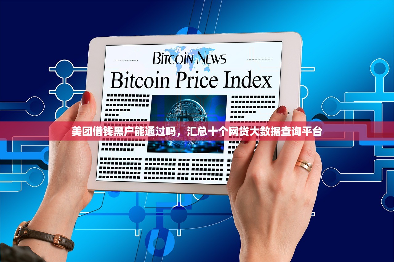 美团借钱黑户能通过吗，汇总十个网贷大数据查询平台
