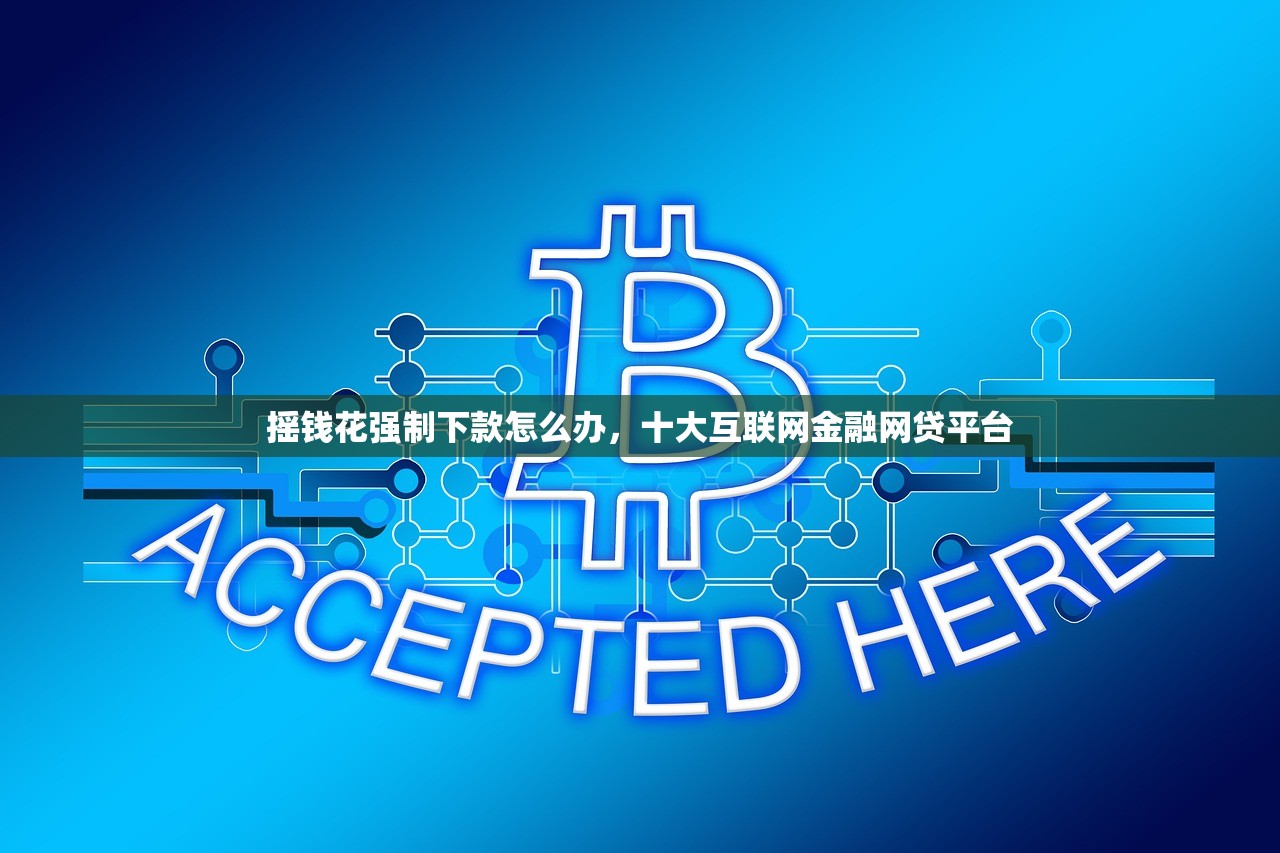 美团生活费黑户如何下款，阐述5家贷款平台有那些