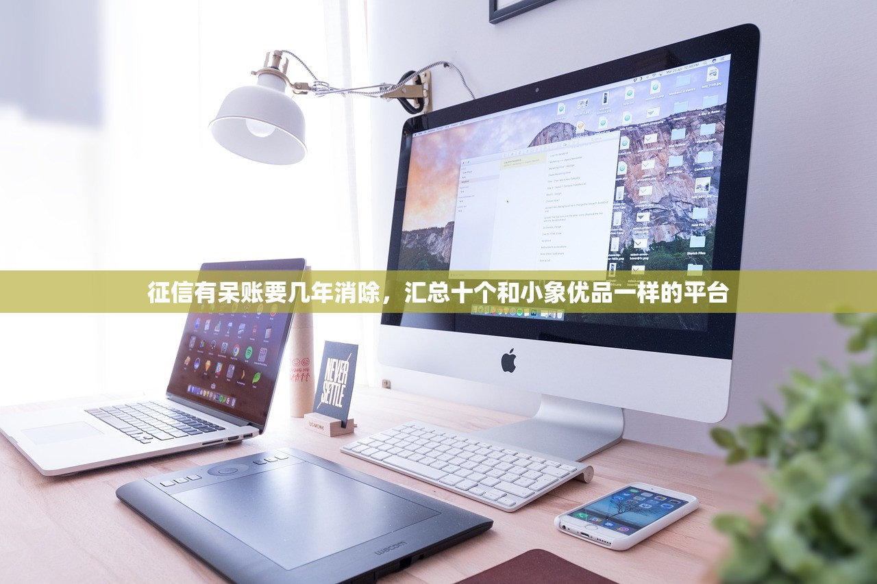 征信有呆账要几年消除，汇总十个和小象优品一样的平台