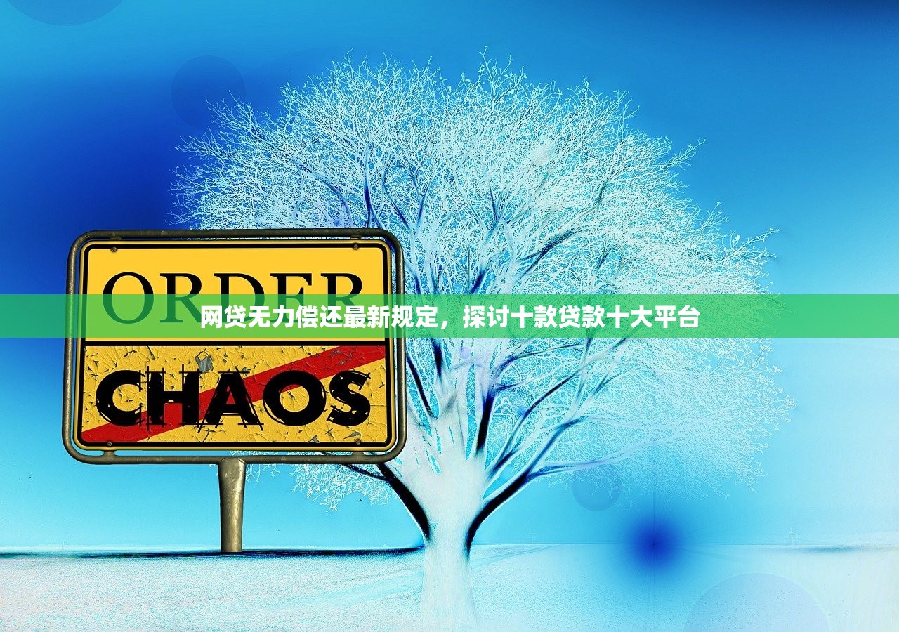 网贷无力偿还最新规定，探讨十款贷款十大平台