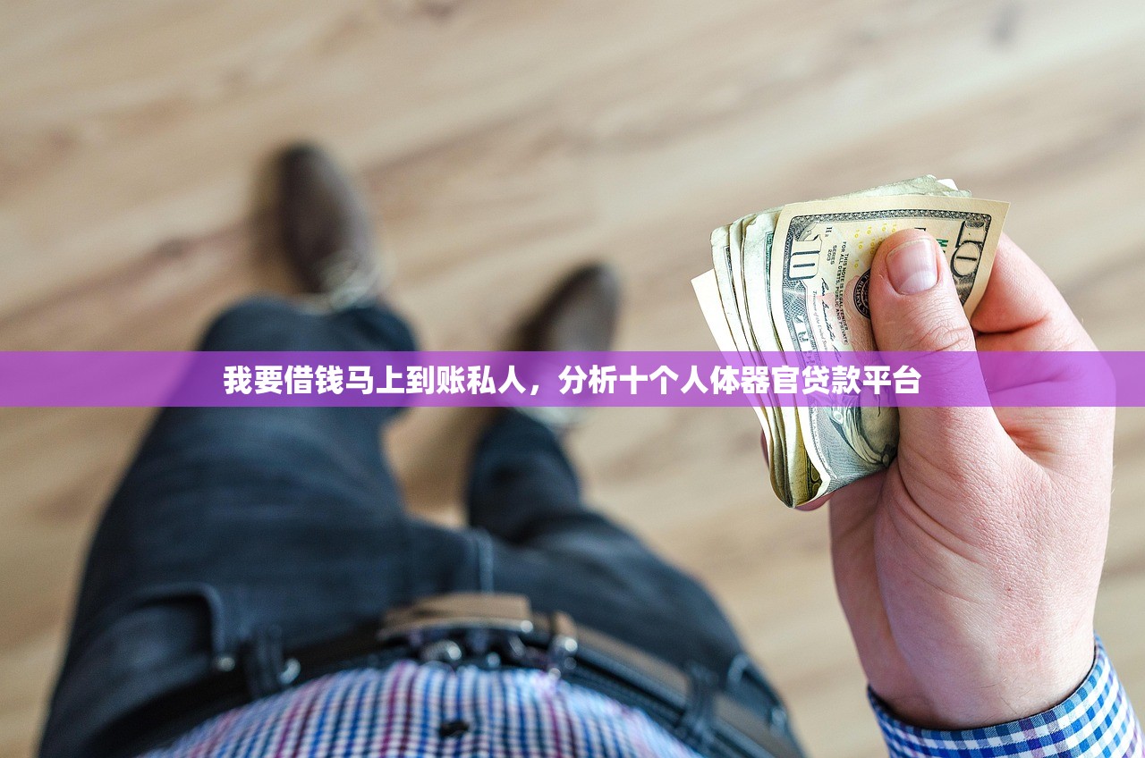我要借钱马上到账私人，分析十个人体器官贷款平台