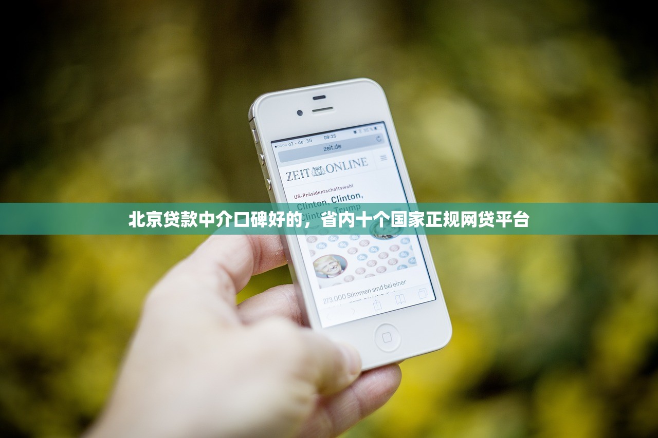 北京贷款中介口碑好的，省内十个国家正规网贷平台