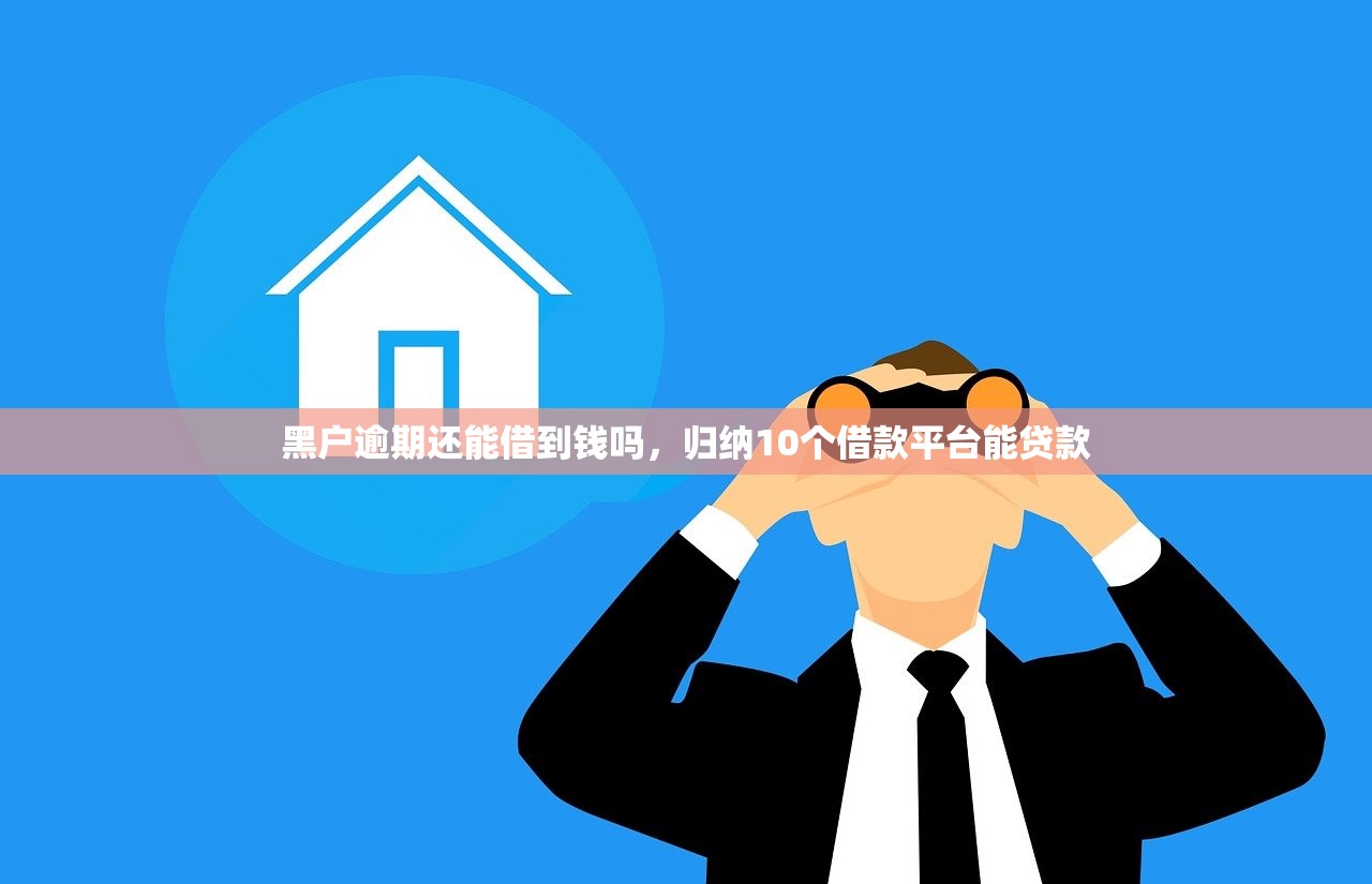 黑户逾期还能借到钱吗，归纳10个借款平台能贷款