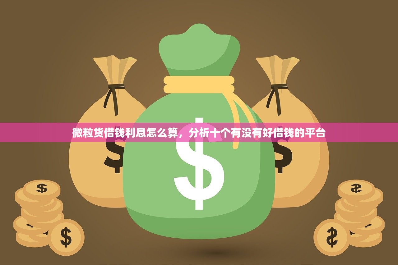 微粒货借钱利息怎么算，分析十个有没有好借钱的平台