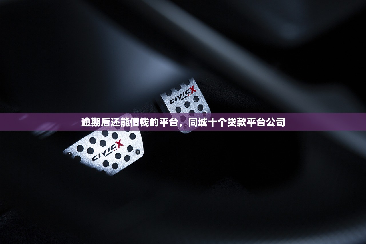 逾期后还能借钱的平台，同城十个贷款平台公司