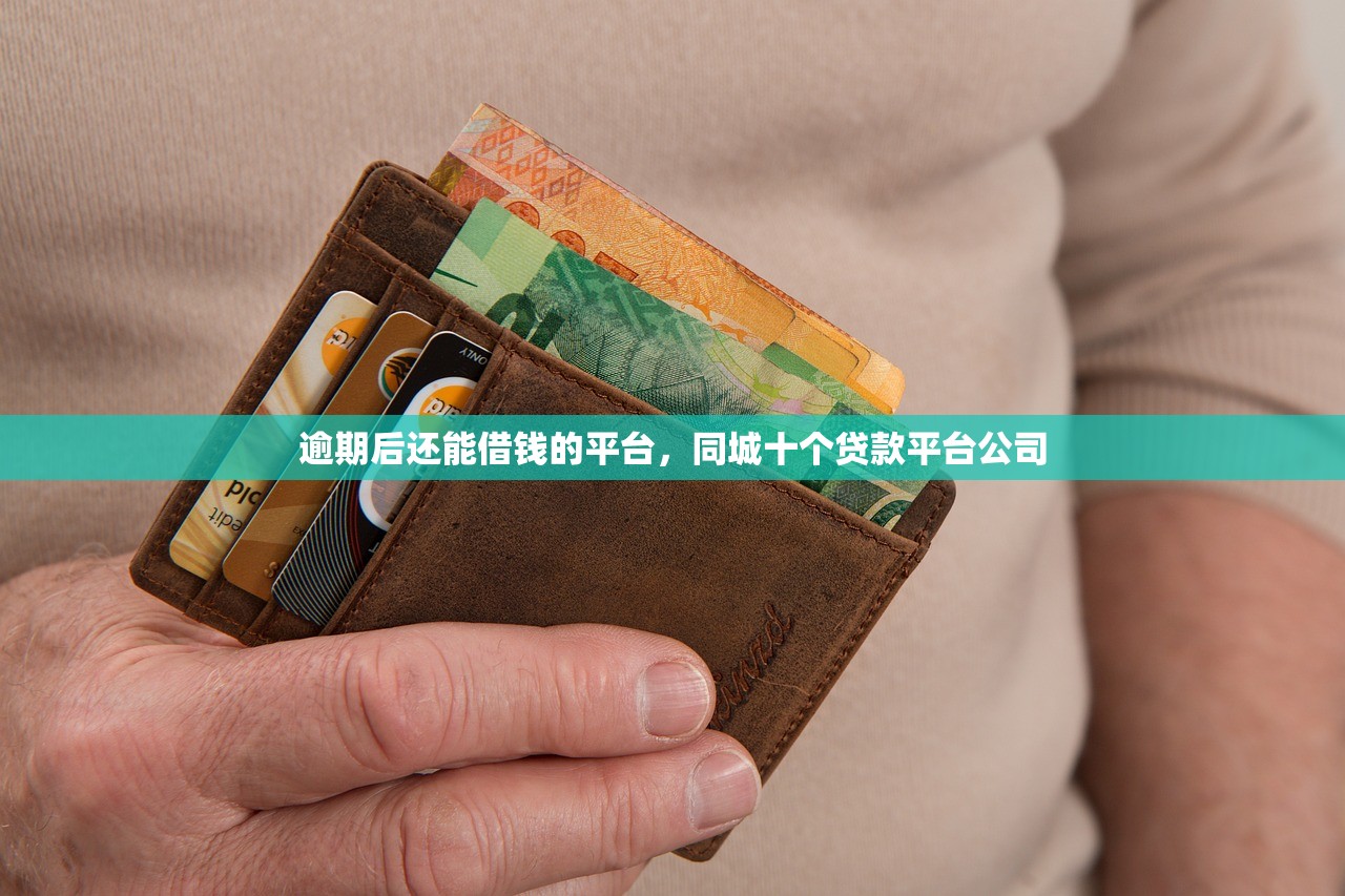 逾期后还能借钱的平台，同城十个贷款平台公司