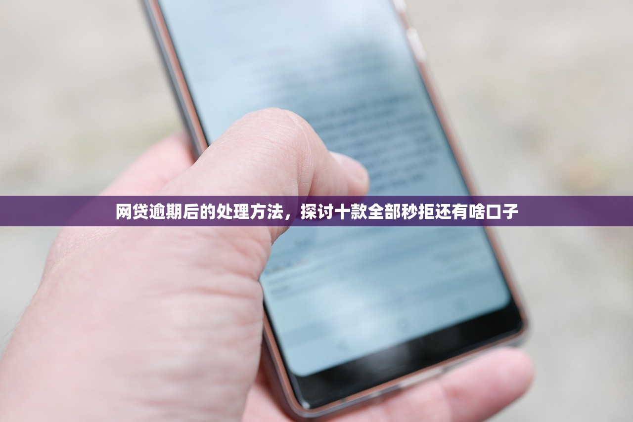 网贷逾期后的处理方法，探讨十款全部秒拒还有啥口子