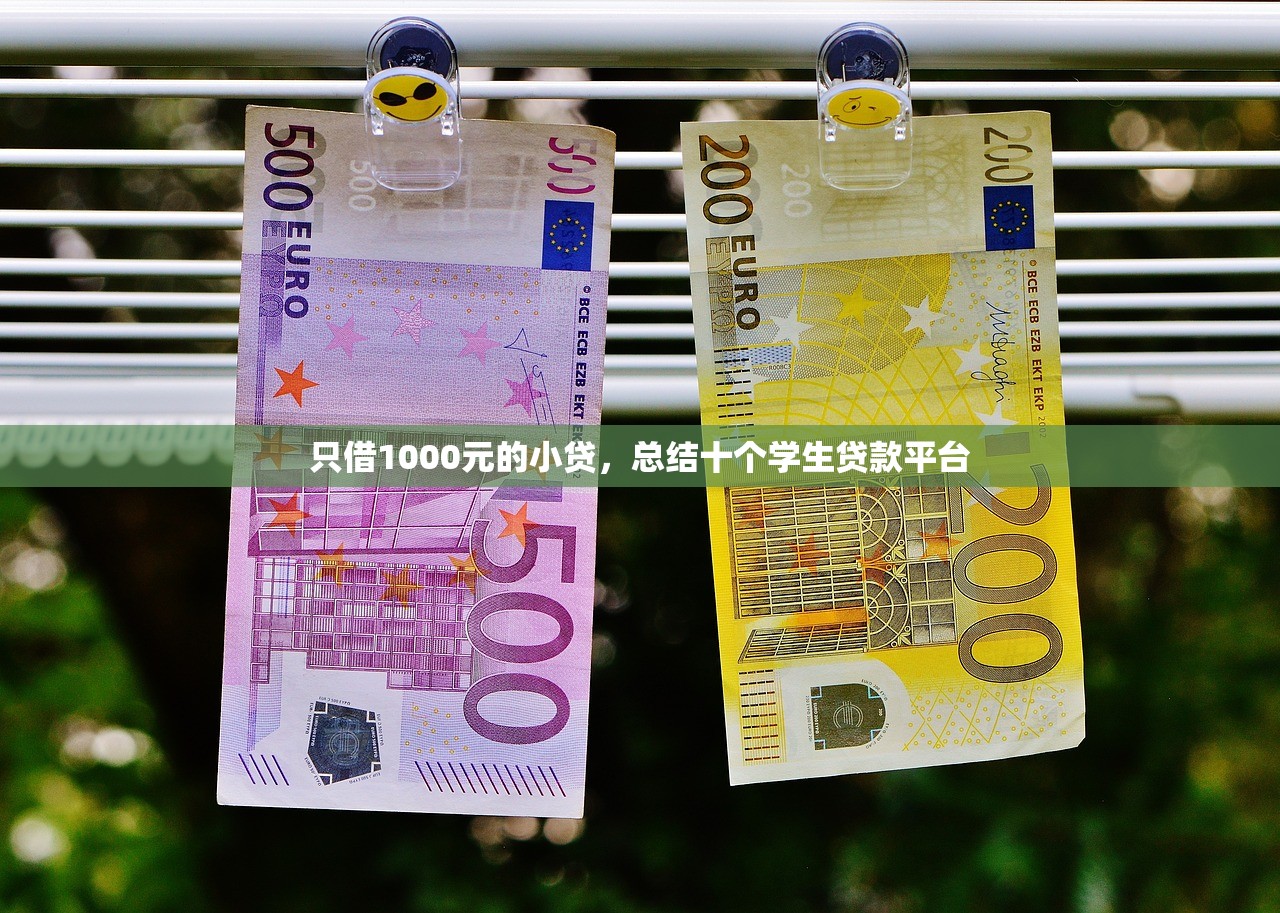 只借1000元的小贷，总结十个学生贷款平台